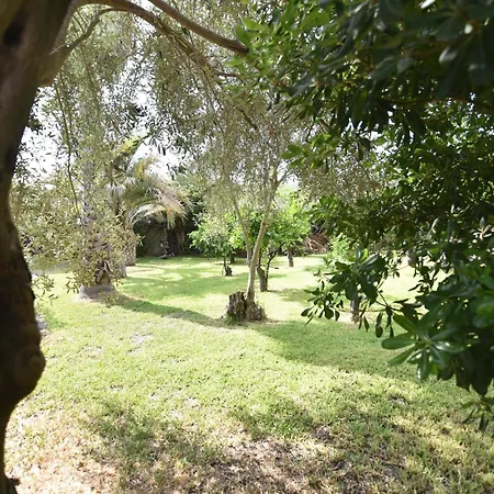 Casa Dell'eucalyptus * אסראלה