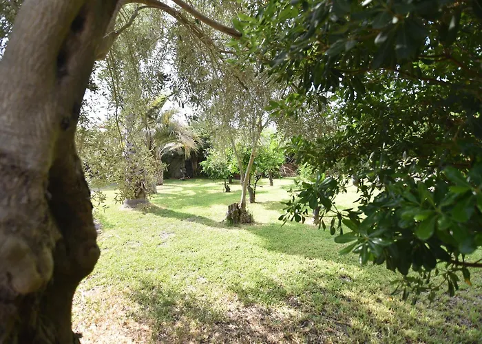 Casa Dell'eucalyptus * Acireale